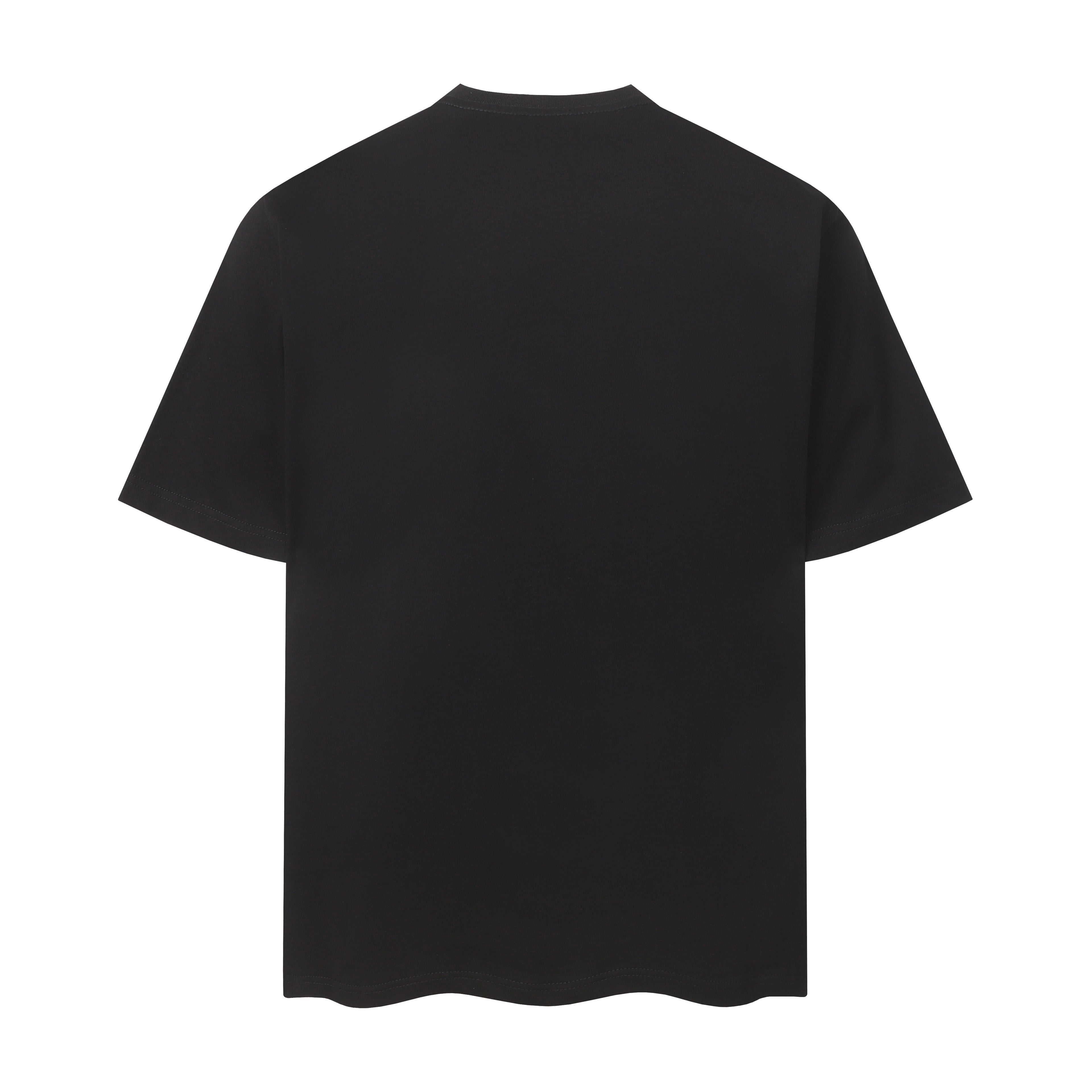 36PA45U Popular T-shirts