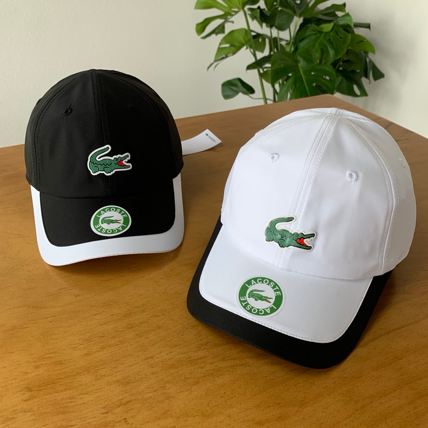 145ZA539M Popular hats