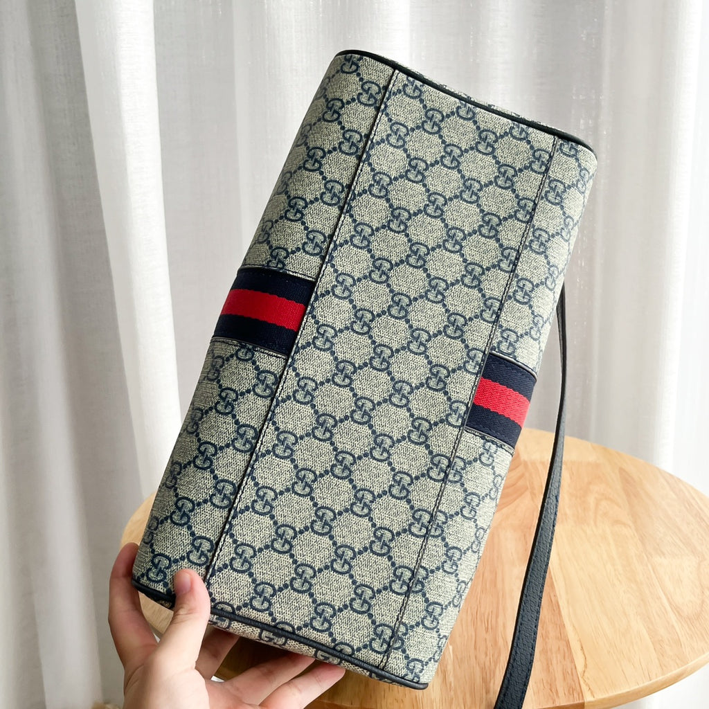 1WB60B Popular  leather bag