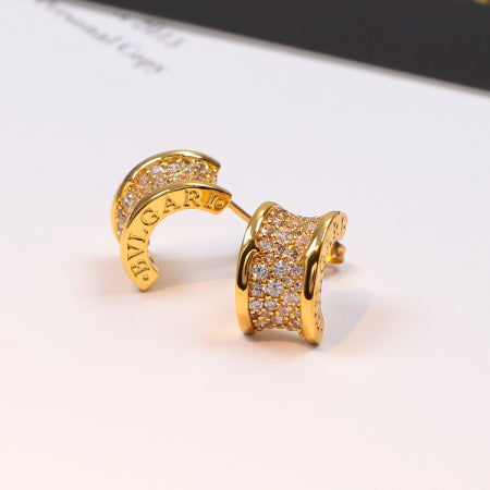 BI25E  Popular   Earrings