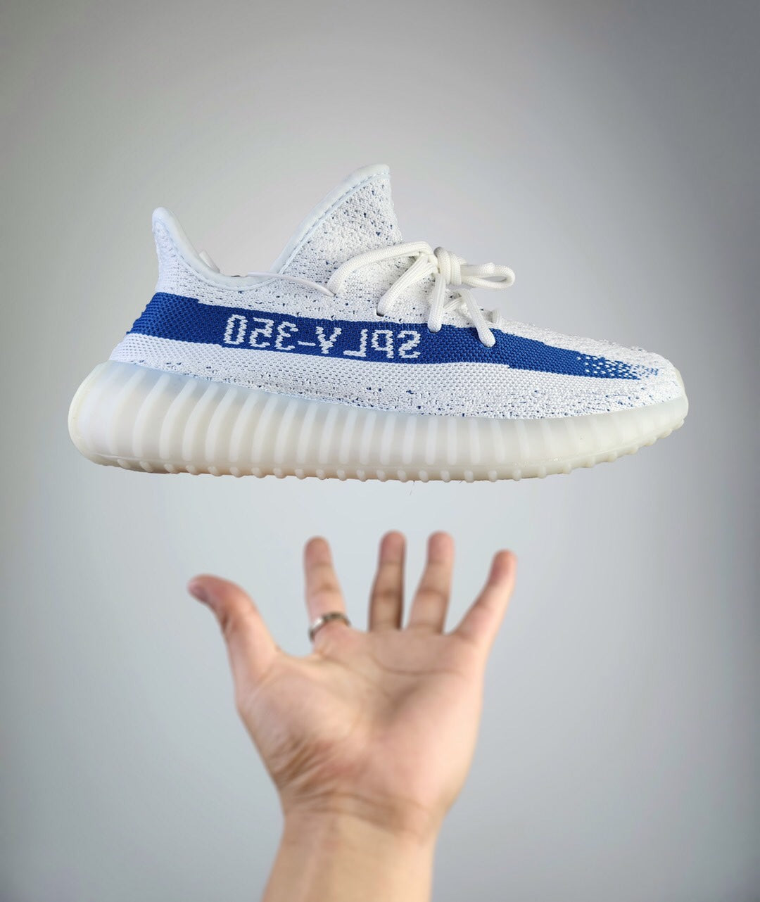 445ZA92Z Popular shoes (No box)