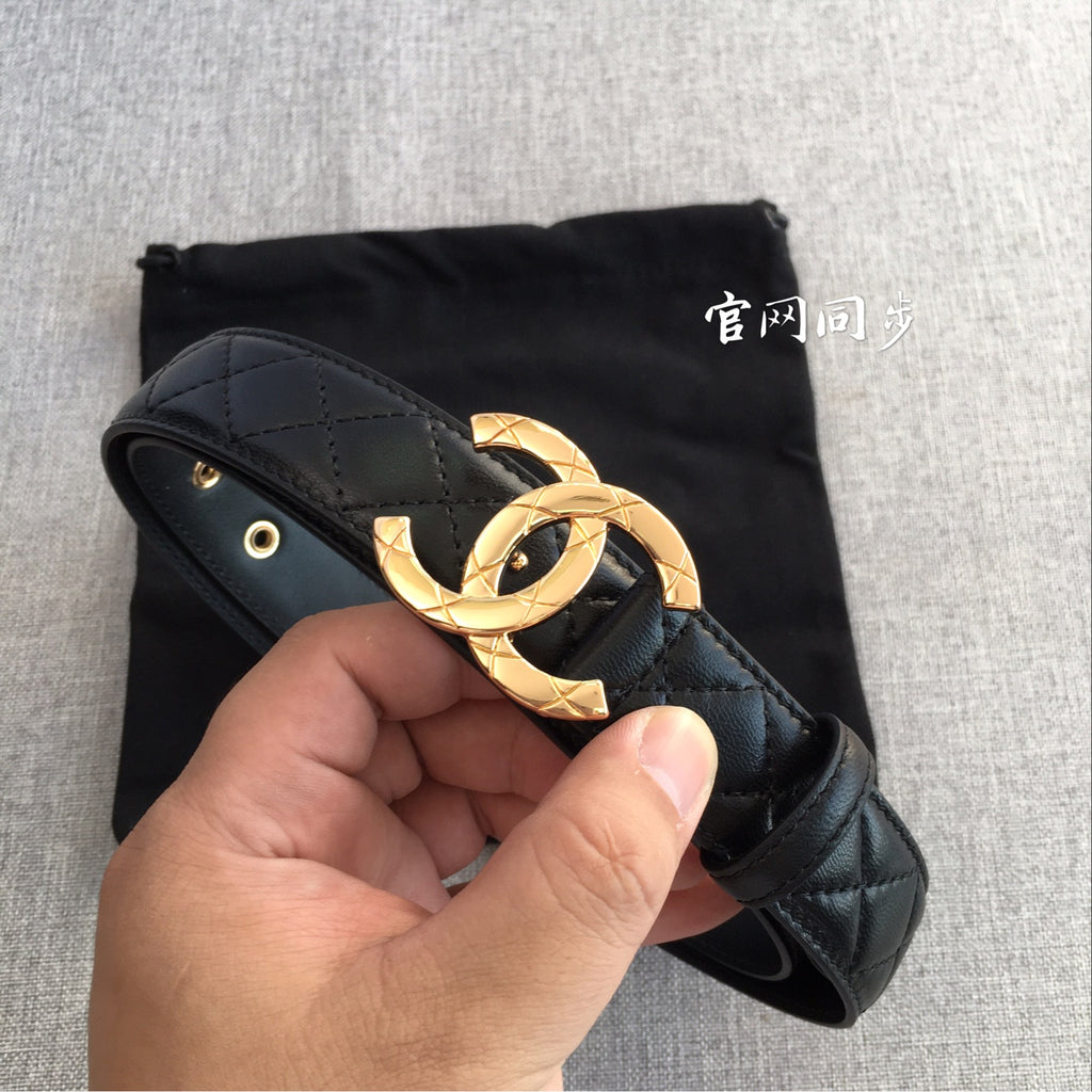P1P36C15 Popular High quality belt With full package