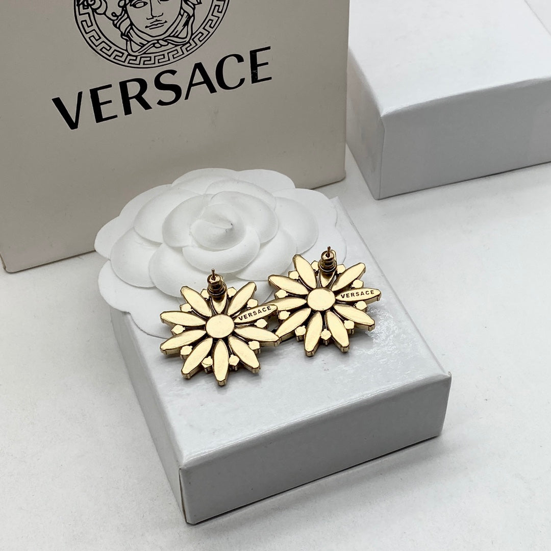 14V538E Popular  Earrings