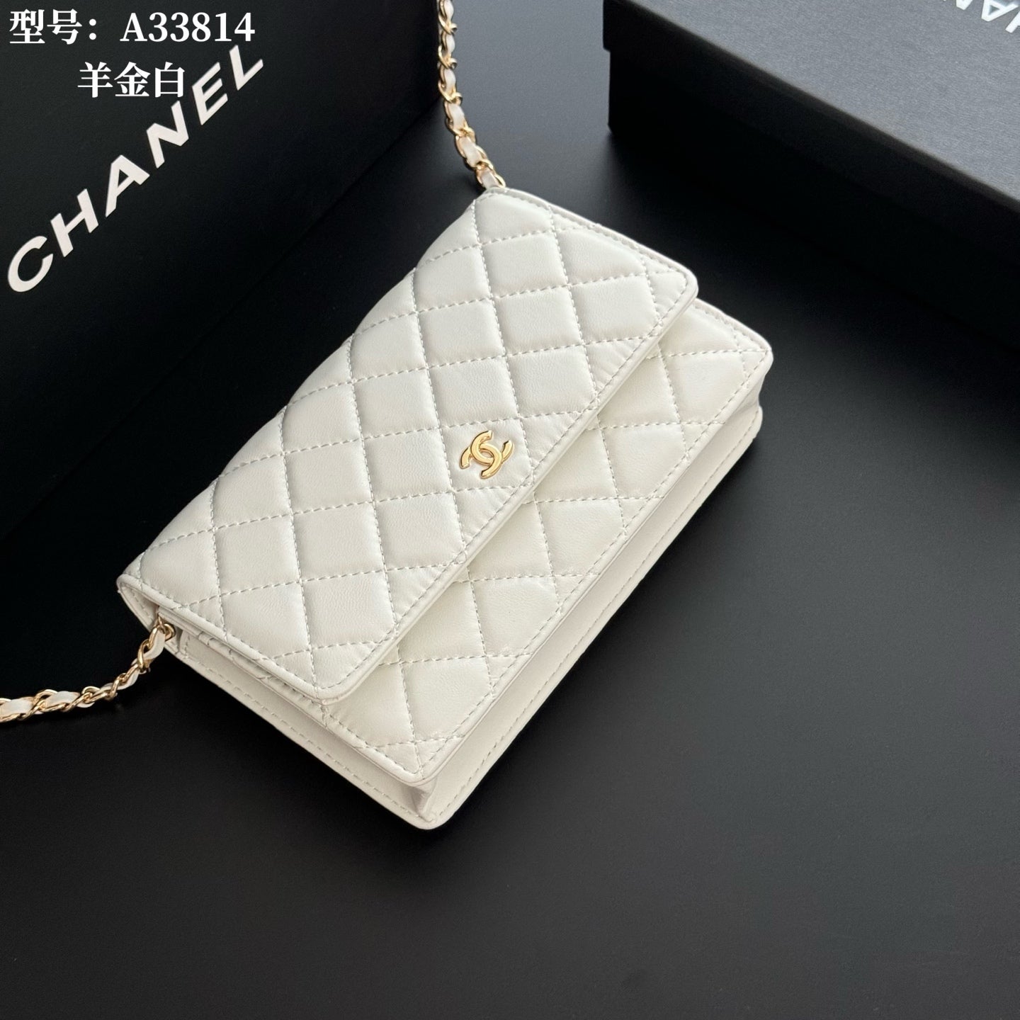 B1X66C17 Popular leather bag
