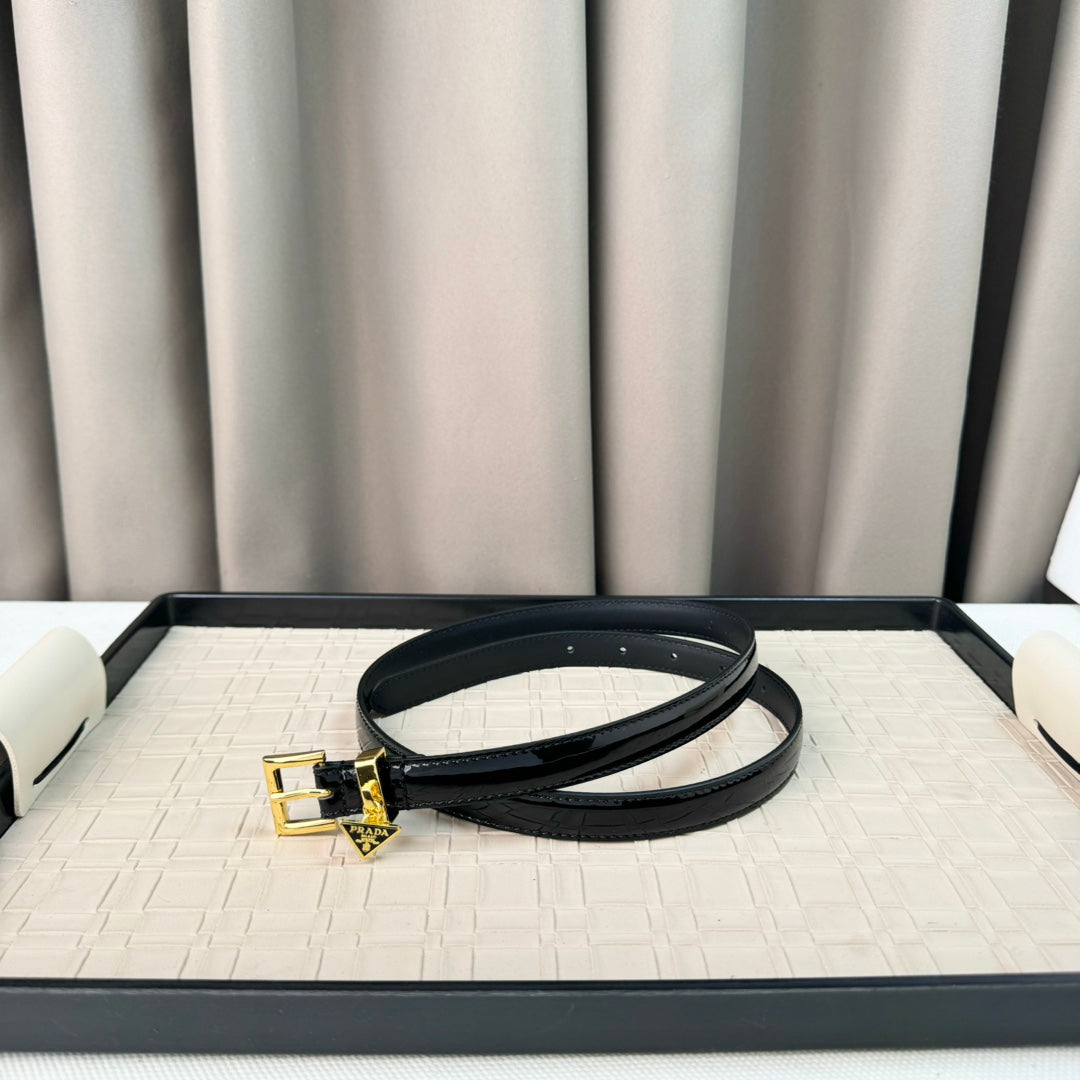 14PD29P  Popular    High quality belt With full package